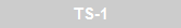 TS-1